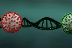 La cepa de coronavirus británica, 70% más contagiosa pero no más grave Cepa británica 70% más contagiosa