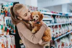 Consejos para comprar un caniche toy: qué debes tener en cuenta Consejos para comprar un caniche toy