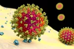 Las mutaciones del coronavirus dificultan combatirlo Nueva mutación del SARS CoV-2