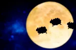 Las noches antes de la luna llena nos acostamos tarde y dormimos menos La luna llena influye en el sueño