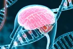 Identifican genes relacionados con la demencia por cuerpos de Lewy Demencia por cuerpos de Lewy y genética