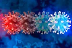 La variante sudafricana del coronavirus no es más mortal, según la OMS OMS: cepa sudafricana no es más mortal