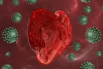 Así afecta el coronavirus al corazón