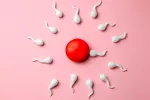 Los disruptores endocrinos amenazan la calidad del semen Disruptores endocrinos amenazan la calidad del semen