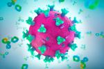 Doble anticuerpo contra el coronavirus