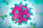 Un doble anticuerpo evita resistencias del SARS-CoV-2 a las terapias Doble anticuerpo contra el coronavirus