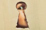 Desvelan cómo funciona en el cerebro el mecanismo de la curiosidad Revelan el mecanismo de la curiosidad