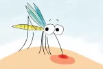 ¿Por qué me pican los mosquitos?