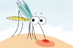 Picadura de mosquito