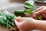 Comer espinacas a menudo podría proteger contra el cáncer de colon Mujer limpiando hojas de espinaca