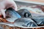 Una vendedora del mercado de Wuhan posible primer caso COVID del mundo Pescadera de Wuhan: primer caso COVID