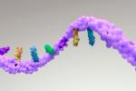 Más de 130.000 virus ARN descubiertos
