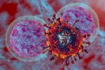 Respuesta inmune frente al coronavirus