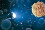 Nanocápsulas ARN para tratar el cáncer
