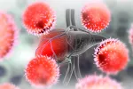 Enfermedades vasculares hepáticas aumenta el riesgo de COVID-19