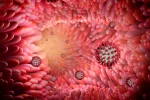 El COVID-19 grave afecta al sistema inmunitario del intestino Así impacta el COVID en el intestino