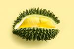 Durian, la fruta más apestosa 