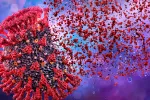 Una sustancia derivada de células de piel, potencial tratamiento COVID COVID-19: nuevo tratamiento potencial