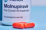 Molnupiravir elimina el SARS-CoV-2 en 3 días