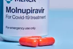 Molnupiravir elimina el SARS-CoV-2 en 3 días