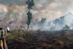 Vivir en zonas de incendios forestales aumenta el riesgo de cáncer Incendios forestales y más riesgo cáncer
