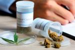 Médico recetando cannabis medicinal
