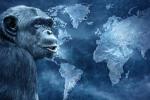 Viruela del mono emergencia internacional