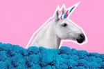 Cómo ser más carismático: 10 pautas para ganar carisma Cómo ser tan carismático como un unicornio