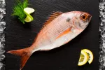 Estos son los pescados más seguros por sus menores niveles de mercurio Pescados más seguros por su mercurio