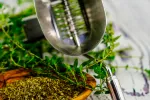 Ajedrea, aromática, digestiva y estimulante Planta de ajedrea