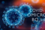 Las subvariantes de ómicron BQ.1 y BQ.1.1 evaden mejor los anticuerpos Ilustración 3D de la variante del omicron BQ.1.1