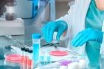 Científica diseca muestras de tejido para cultivo celular en el laboratorio