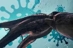 Kraken, una variante del coronavirus ¿más contagiosa? El kraken, un monstruo marino mitológico