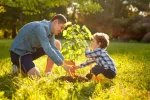 Un padre plantando un árbol junto a su hijo