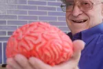 Anciano sujetando un modelo 3D de un cererebro