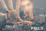 Revelan cómo la contaminación provoca cáncer de pulmón en no fumadores Ciudad contaminada por partículas finas PM2.5
