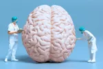 Luces y sombras de donanemab, nuevo fármaco para el alzhéimer de Lilly Concepto del control y análisis médico de un cerebro