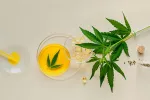 El cannabis medicinal cambia la vida a personas con síndrome de Tourette Aceite de CBD en pipeta, tintura, semillas de cáñamo y hojas de marihuana