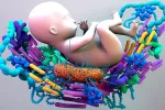 El microbioma del intestino del niño