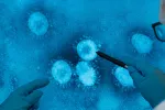 Científicos de Málaga crean una proteína capaz de combatir COVID o VIH Científicos analizando el COVID