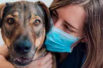 Los humanos contagian el COVID a las mascotas, pero no a la inversa Chica con mascarilla junto a su perro