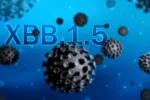 Subvariante ómicron XBB.1.5 EMA recomienda aprobar la vacuna de Pfizer adaptada a ómicron XBB.1.5