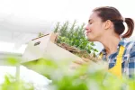 Mujer joven recogiendo plantas aromáticas