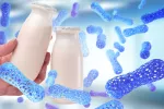 El Lactobacillus del yogur y fermentados favorece la salud mental Yogures líquidos con lactobacillus