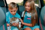 Tener gatos podría potencialmente duplicar el riesgo de esquizofrenia Hermanos acariciando a su gato en el coche