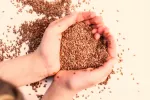 Semillas de lino podrían ayudar a reducir el riesgo de cáncer de mama Manos de mujer en forma de corazón y sosteniendo un puñado de semillas de lino
