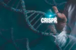 La EMA recomienda aprobar el primer medicamento que usa CRISPR/Cas9 Concepto de ADN modificado genéticamente