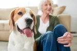 Tener mascota puede retrasar el deterioro cognitivo en adultos mayores Mujer mayor sentada con su perro en casa
