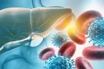 La hepatitis viral se cobra 3.500 vidas cada día según alerta la OMS Ilustración de un hígado humano con el virus de la hepatitis