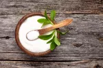 La estevia puede ser el sustituto del azúcar más saludable para el cerebro Cuenco con estevia en polvo con una cuchara y una rama de la planta encima